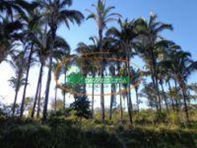 Imoveis na Zona Rural