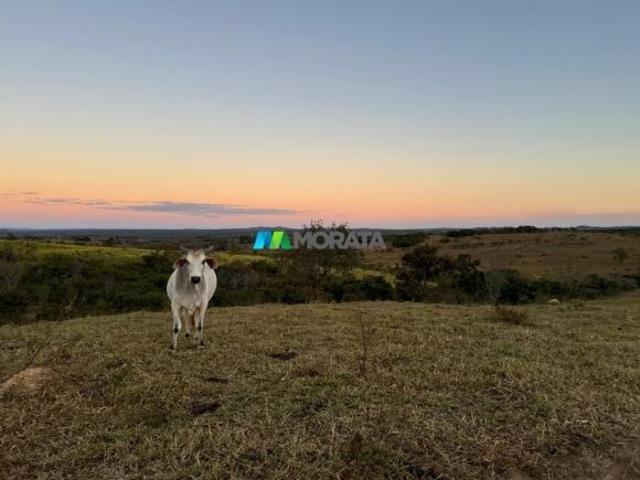 Imoveis na Zona Rural