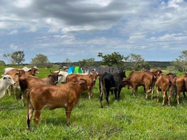 Imoveis na Zona Rural