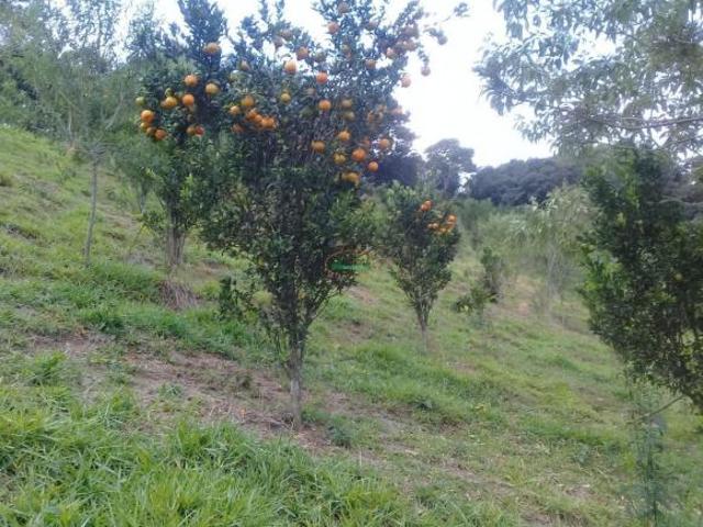 Imoveis na Zona Rural
