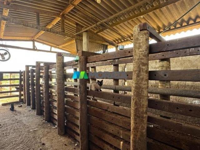 Imoveis na Zona Rural