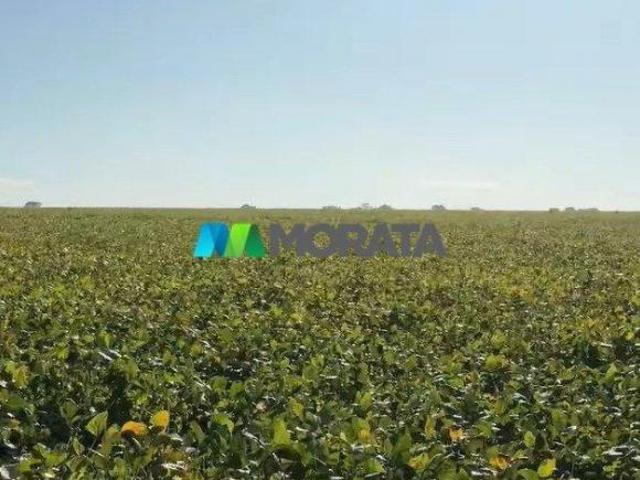 Imoveis na Zona Rural