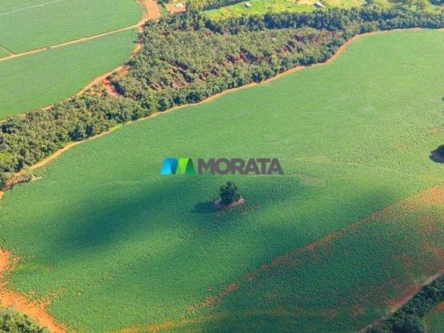 Imoveis na Zona Rural
