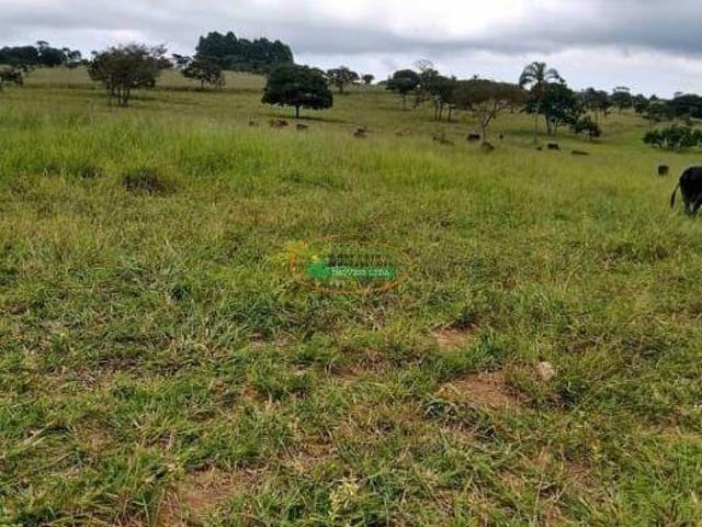 Imoveis na Zona Rural