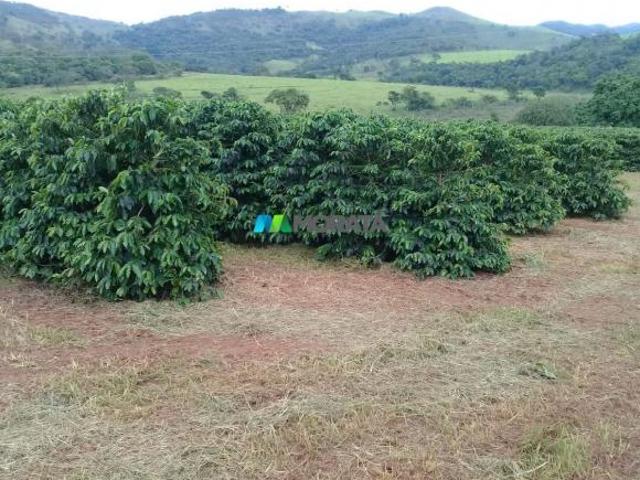 Imoveis na Zona Rural