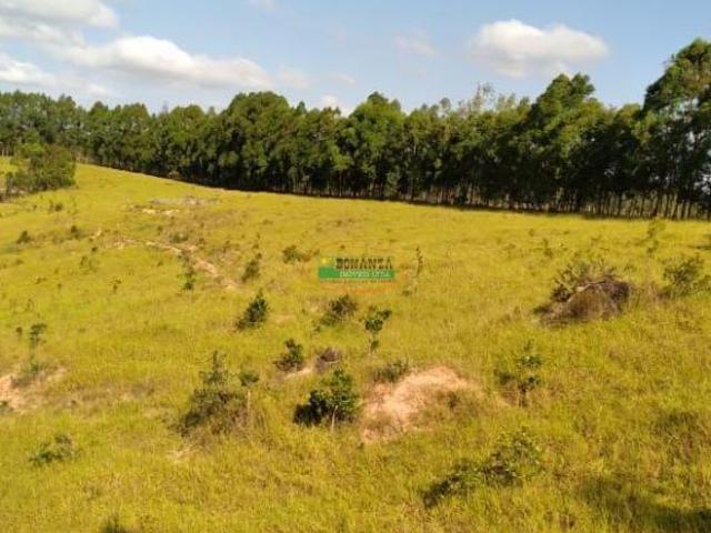 Imoveis na Zona Rural