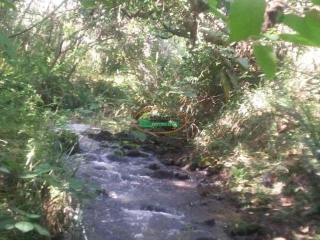 Imoveis na Zona Rural