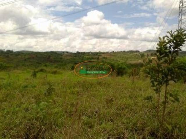 Imoveis no Alto Maranhão