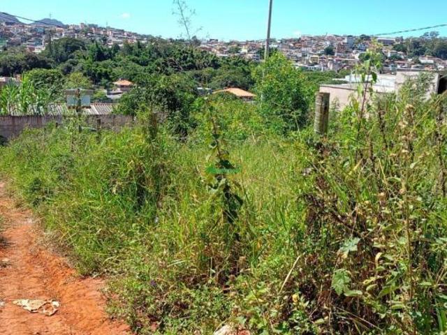 Imoveis no Bom Pastor