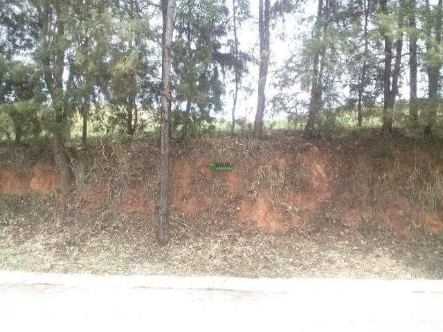 Imoveis no Centro