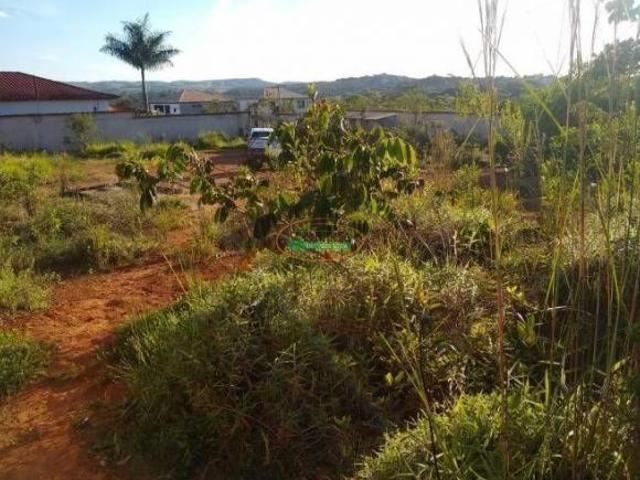 Imoveis no Centro