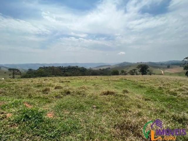 Imoveis no Centro