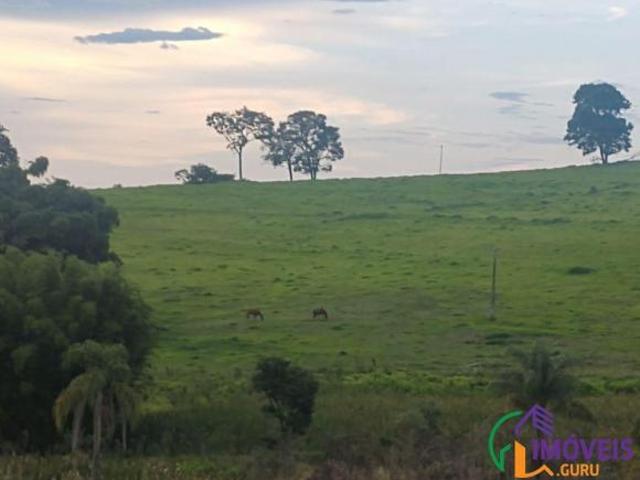 Imoveis no Centro