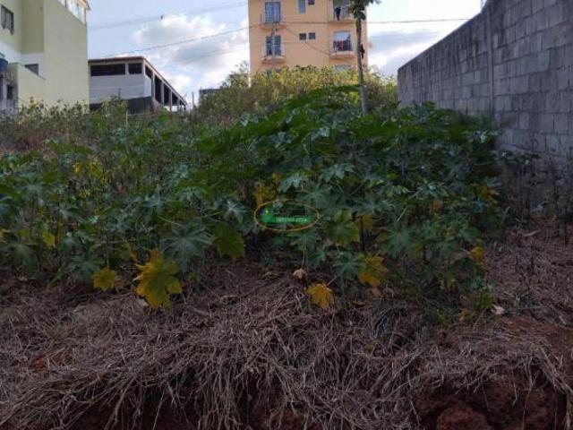 Imoveis no Centro