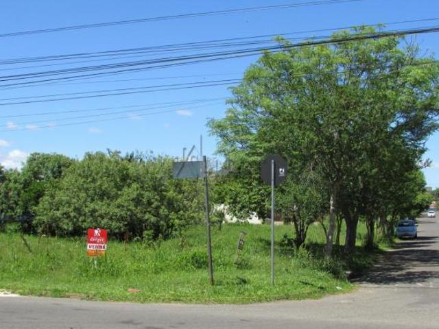 Imoveis no Centro