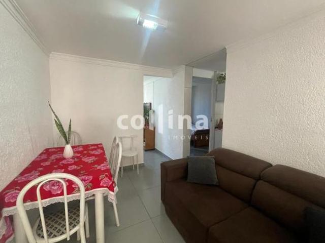 Imoveis no Conjunto Habitacional Presidente Castelo Branco