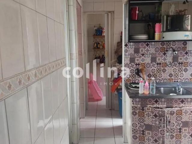 Imoveis no Conjunto Habitacional Presidente Castelo Branco