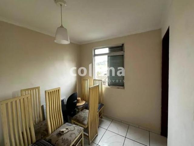 Imoveis no Conjunto Habitacional Presidente Castelo Branco