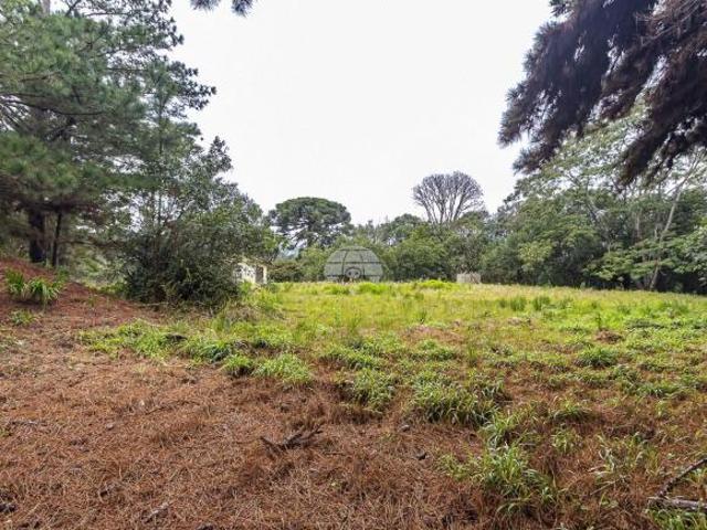 Imoveis no Jardim Primavera