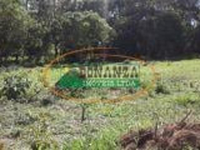Imoveis no Rancho Novo