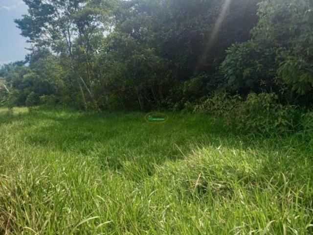 Imoveis no Sertãozinho