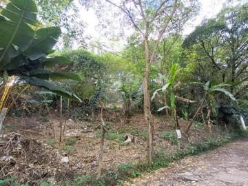 Imoveis no Vila Amélia