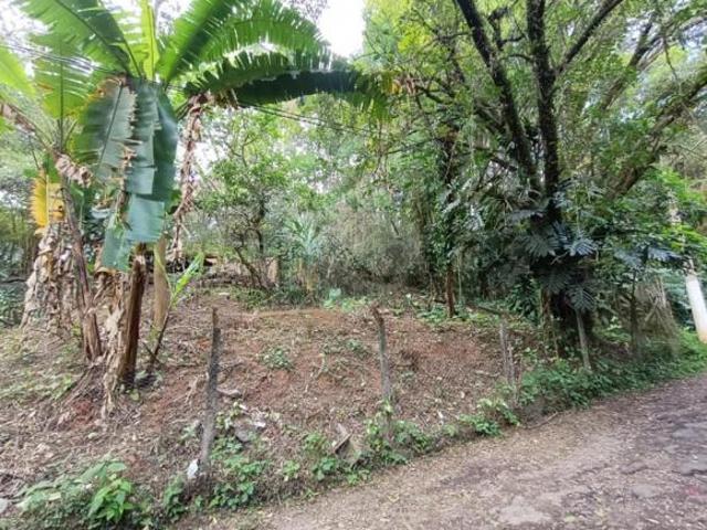 Imoveis no Vila Amélia