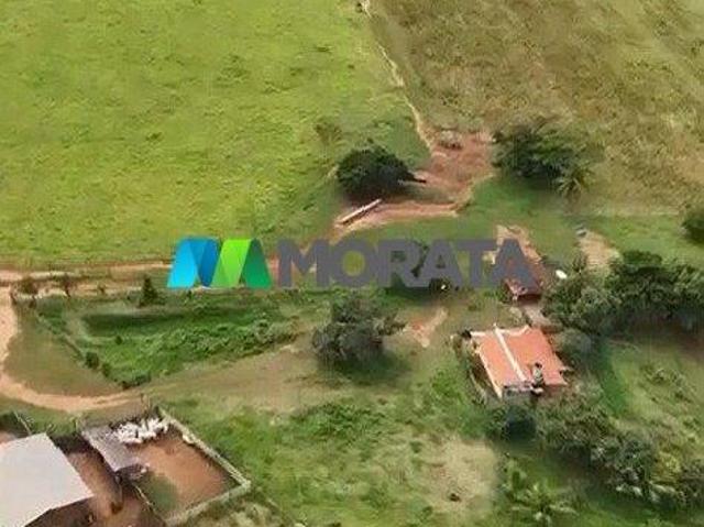 Imoveis em Martinho Campos