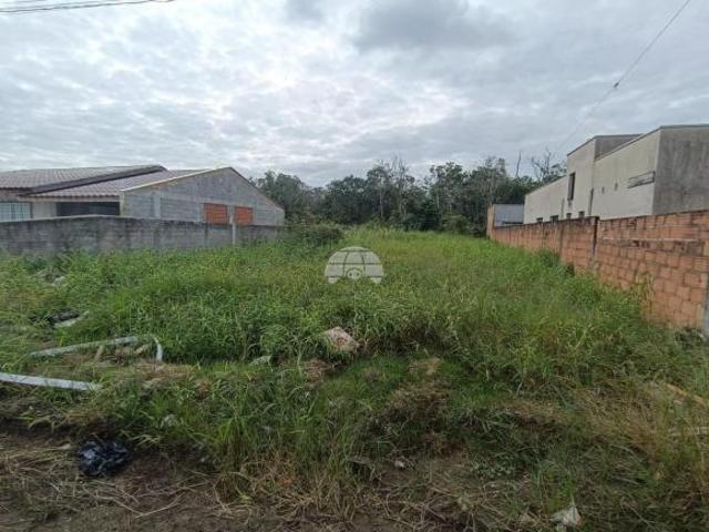 Imoveis em Matinhos