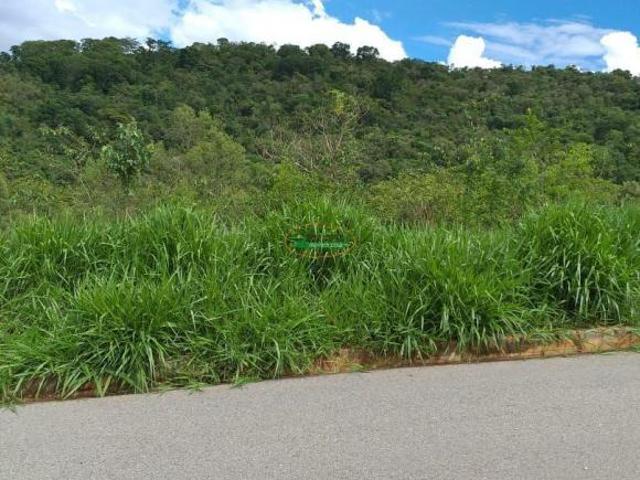 Imoveis em Moeda