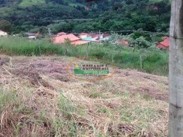 Imoveis em Moeda