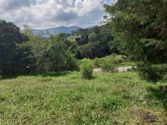 Imoveis em Moeda