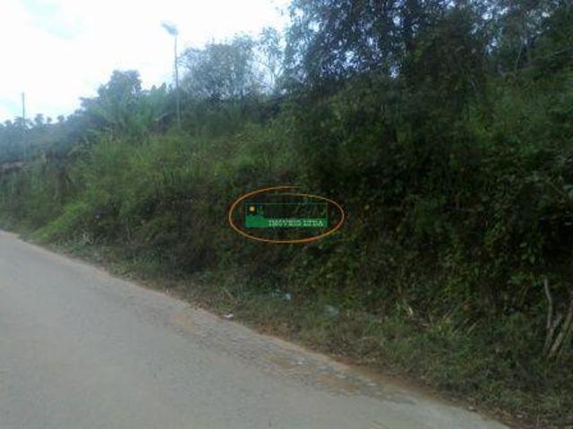 Imoveis em Moeda