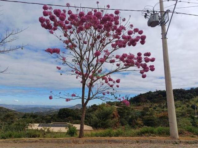 Imoveis em Moeda