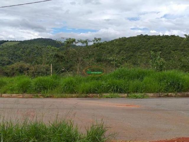 Imoveis em Moeda