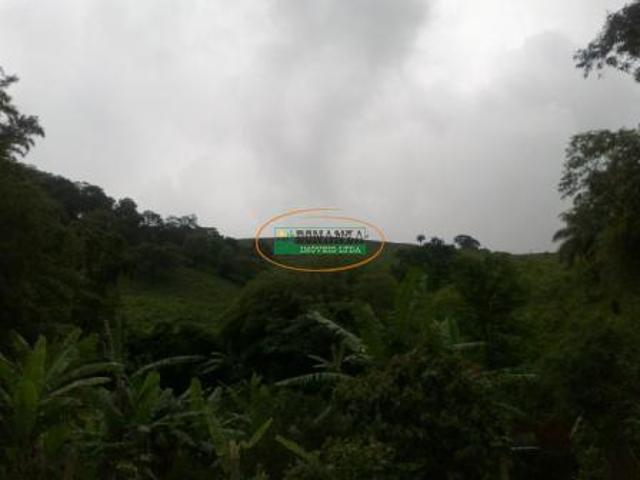 Imoveis em Moeda