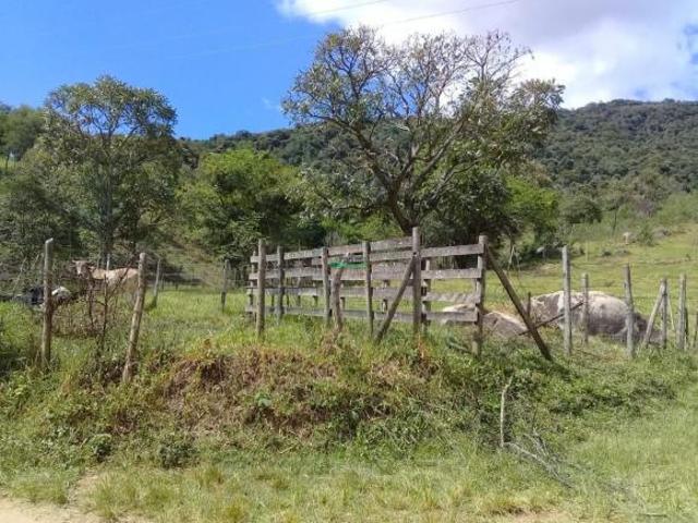 Imoveis em Moeda