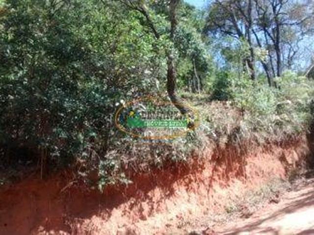 Imoveis em Moeda