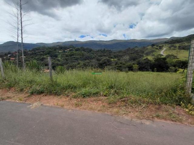 Imoveis em Moeda