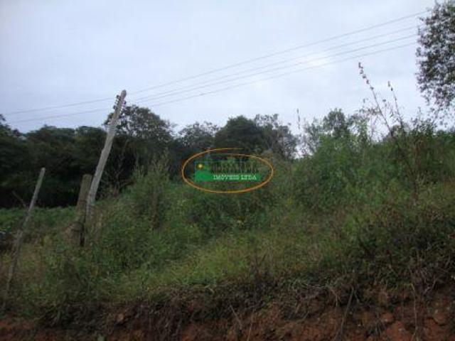Imoveis em Moeda