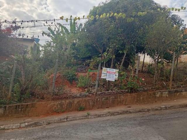Imoveis em Moeda