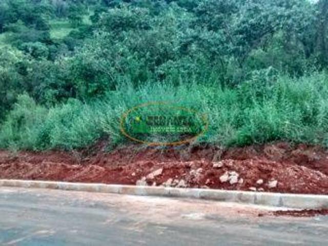 Imoveis em Moeda