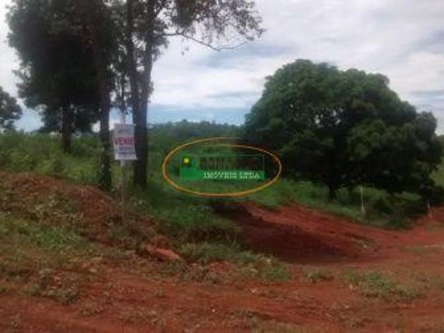 Imoveis em Moeda
