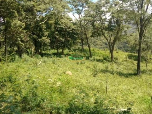 Imoveis em Moeda
