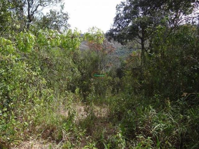 Imoveis em Ouro Branco