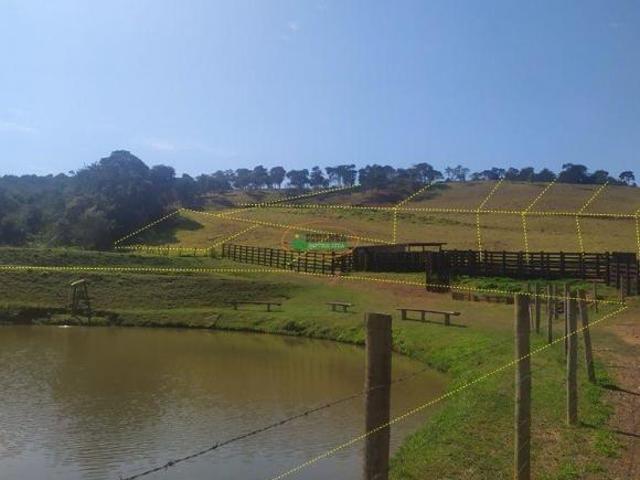 Imoveis em Almeidas