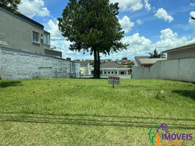 Imoveis em Alphaville