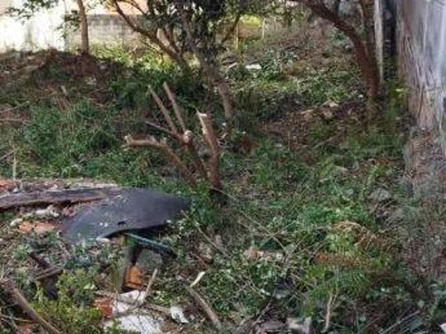 Imoveis em Anália Franco