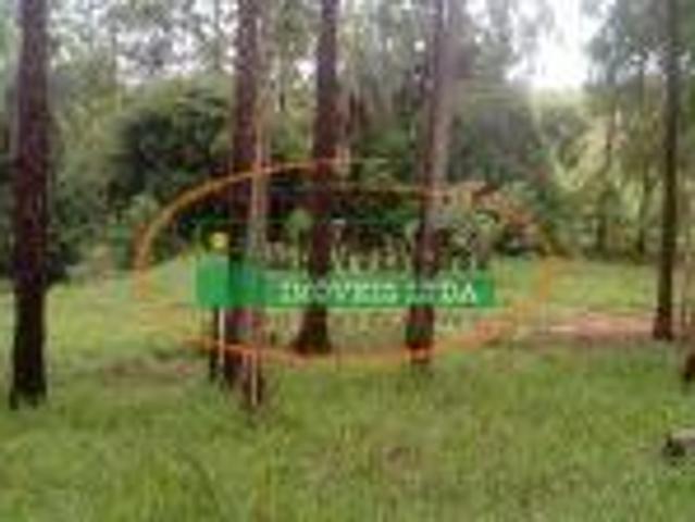 Imoveis em Buarque de Macedo