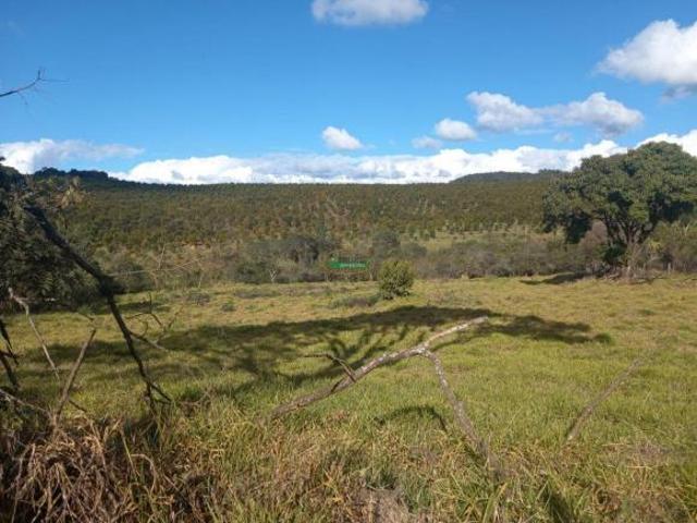 Imoveis em Belo Vale